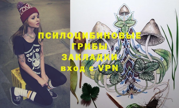не бодяженный Бронницы