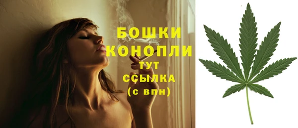 МДПВ Верхний Тагил