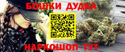 дмт Будённовск